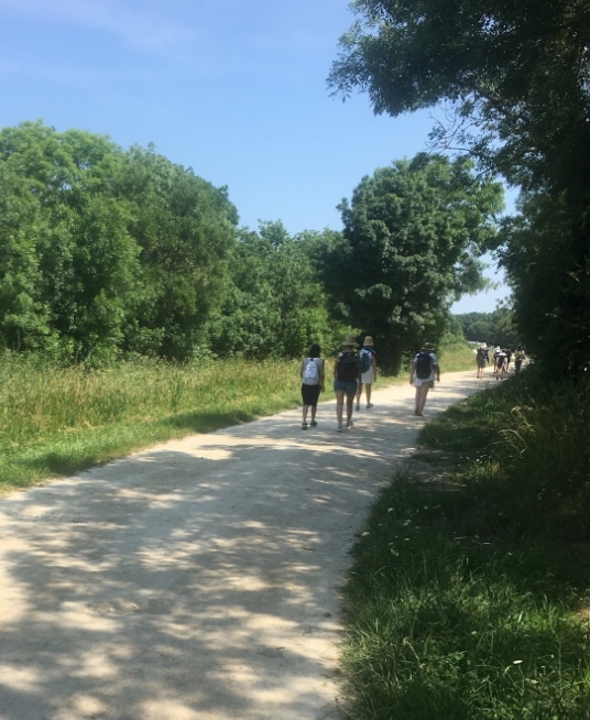 Groupe de personnes marchant sur un chemin lors d'un stage de jeûne et randonnée Oxy Jeûne